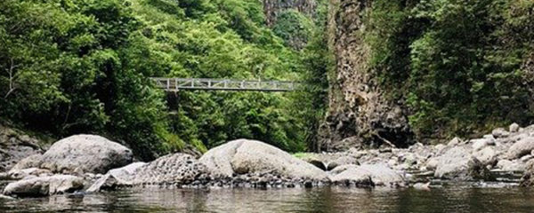 Ile de la réunion et transport en voiture